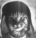 Фотография Scheglov Pasha
