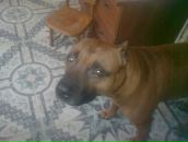 Віталік Бідюк фотография #21 (источник - https://vk.com/id106111744)