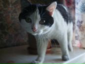 Фотография Аль-Аттаби Марии