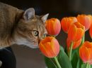 Фотография Ишмуратов Руслан
