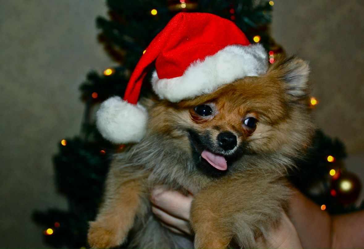 Катя Серебряная фотография #9