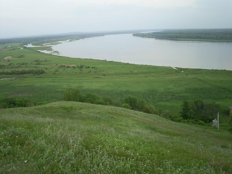 Александр Петров фотография #34