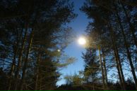 Фотография Власова Никиты