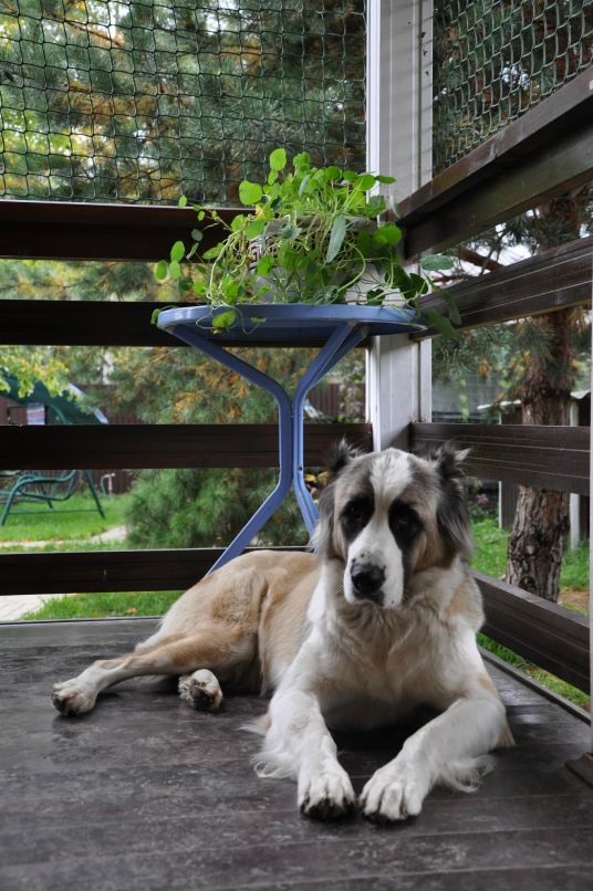 Виктор Андросов фотография #13