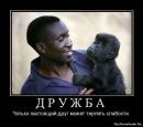 Інна Шевчук фотография #26 (источник - https://vk.com/id92127200)
