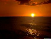 Наташа Савіцька фотография #21 (источник - https://vk.com/id54950559)