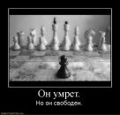 Фотография Ничея Ильи