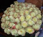 Фотография Даниловой Надежды