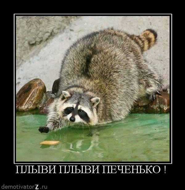 Антон Ткаченко фотография #3