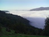 Рома Пасічук фотография #38 (источник - https://vk.com/id159443804)