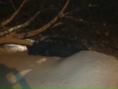 Sergey Chelyapin фотография #6 (источник - https://vk.com/id772316)