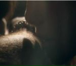 Маша Боева фотография #45 (источник - https://vk.com/id7558263)