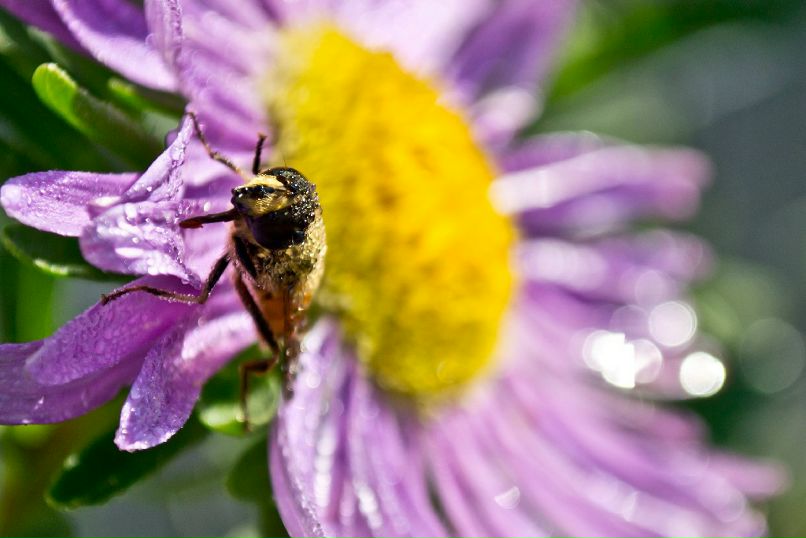 Антон Девяткин фотография #39