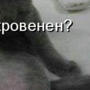 Сашка Пілюшенко фотография #35 (источник - https://vk.com/id84577810)