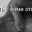 Сашка Пілюшенко фотография #36 (источник - https://vk.com/id84577810)