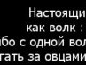 Вячеслав Сокіл фотография #3 (источник - https://vk.com/id82193350)