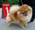 Фотография Трофимовой Татьяны