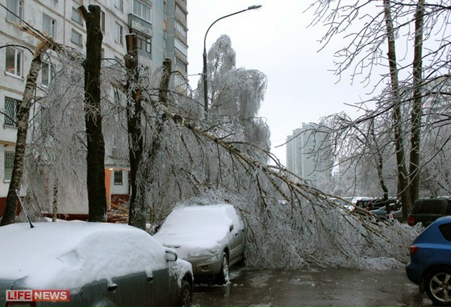 №7, Мария Михайлова, 43 года, Санкт-Петербург №7, Мария Михайлова, 43 года, Санкт-Петербург