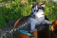 Фотография Маркиной Нины