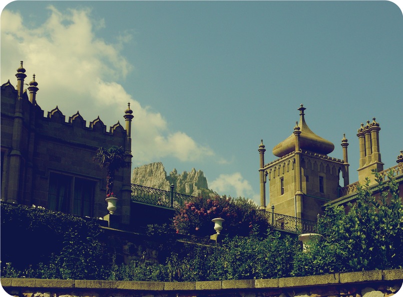 Дмитрий Додон фотография #18