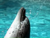 Фотография Райх Юлии