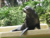 Фотография Наталенко Ларисы