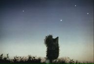 Фотография Мастич Анны