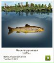 Ігор Дида фотография #24 (источник - https://vk.com/id28154019)