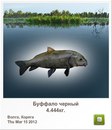 Діма Мікулеску фотография #32 (источник - https://vk.com/id148218934)