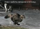 Фотография Верёвкиной Нины