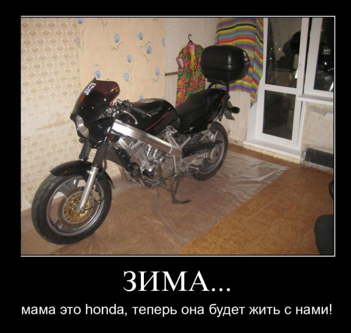Anton Spb фотография #2