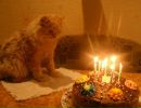 Олесь Куліш фотография #15 (источник - https://vk.com/id143263482)