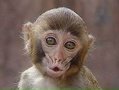 Фотография Новиковой Кати