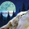 Євгенко Берегуляк фотография #24 (источник - https://vk.com/id135281191)