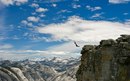 Андрій Галушка фотография #31 (источник - https://vk.com/id151015516)