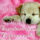 Юліана Борщ фотография #31 (источник - https://vk.com/id112844689)