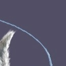 ☆♥☆ксюша ☆♥☆ фотография #15 (источник - https://vk.com/id139930886)