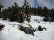 Стас Гриненьків фотография #49 (источник - https://vk.com/id26424235)