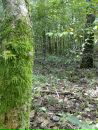 Андрій Євчук фотография #15 (источник - https://vk.com/id106227541)