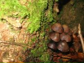 Федя Поліщук фотография #45 (источник - https://vk.com/id31105437)