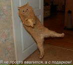 Петя Бабаян фотография #46 (источник - https://vk.com/id68360951)