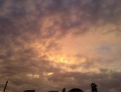 Фотография Грачевой Марии