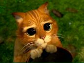 Юлія Каленіченко фотография #31 (источник - https://vk.com/id23406708)