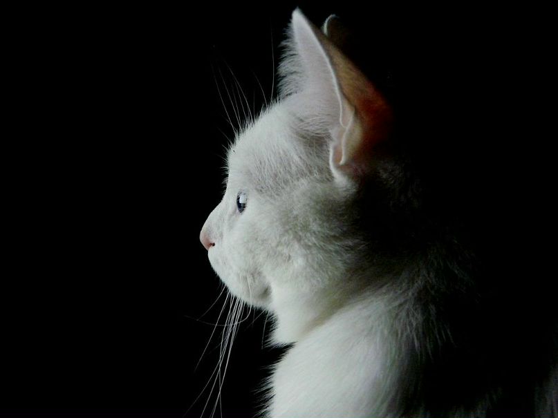 Руслан Гулевич фотография #12