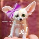 Марина =) фотография #34 (источник - https://vk.com/id138776043)