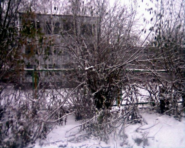 Антон Яковлев фото №12