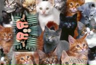 Іра Скавінська фотография #23 (источник - https://vk.com/id64958999)