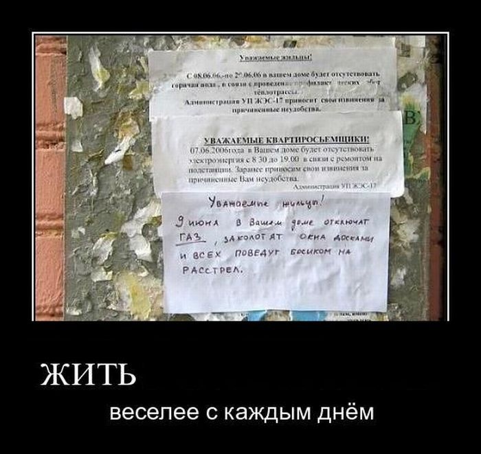 Дмитрий Никонов фотография #43