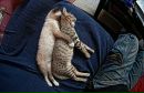 Дима Терешин фотография #2 (источник - https://vk.com/id2838884)