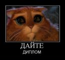 Павлік Михальчук фотография #1